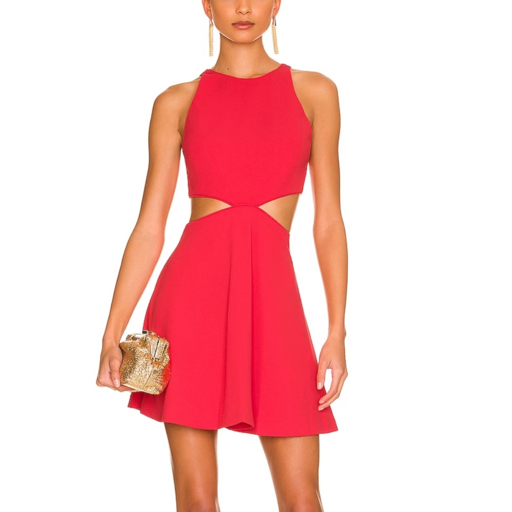 NWT Alice + Olivia Cara Fit & Flare Dress